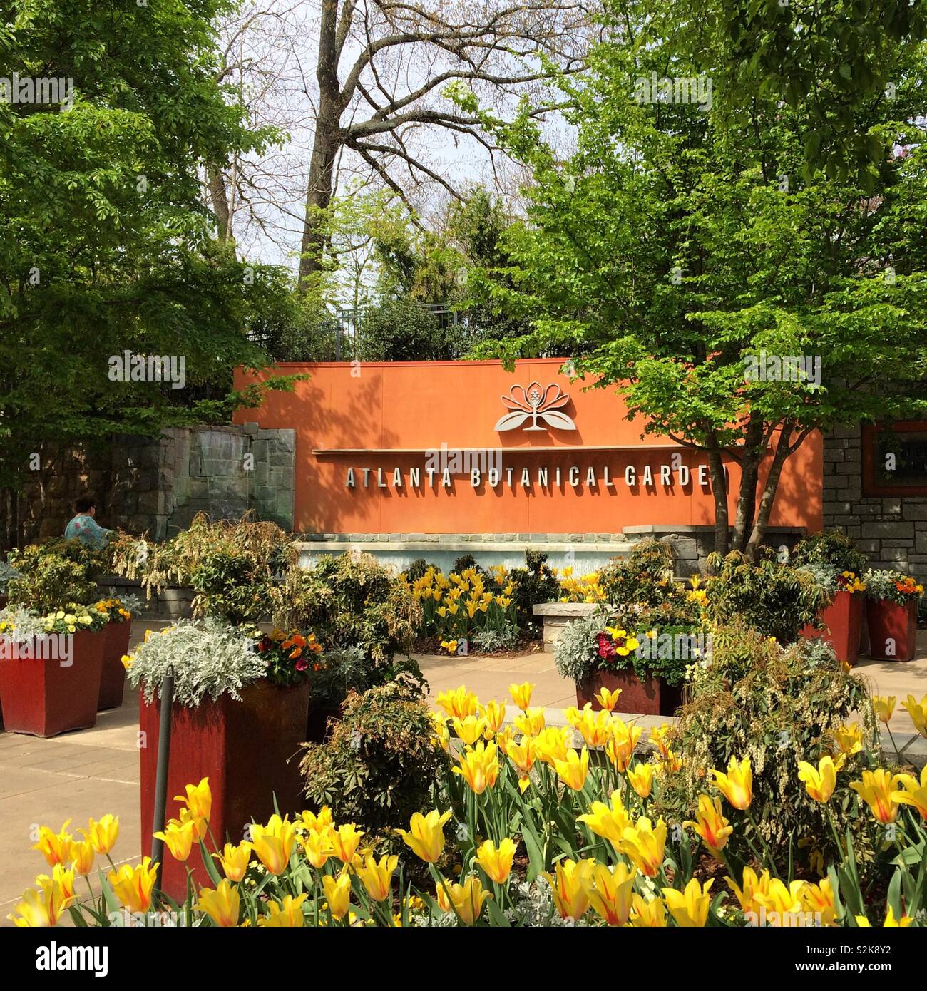 Botanischer Garten Atlanta, Atlanta, Georgia, USA Stockfoto