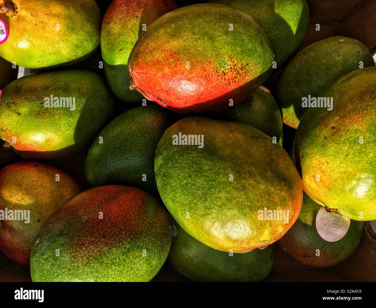 Full Frame der frische reife Mangos auf dem Display und zum Verkauf an die lokale Anbieter produzieren. Stockfoto