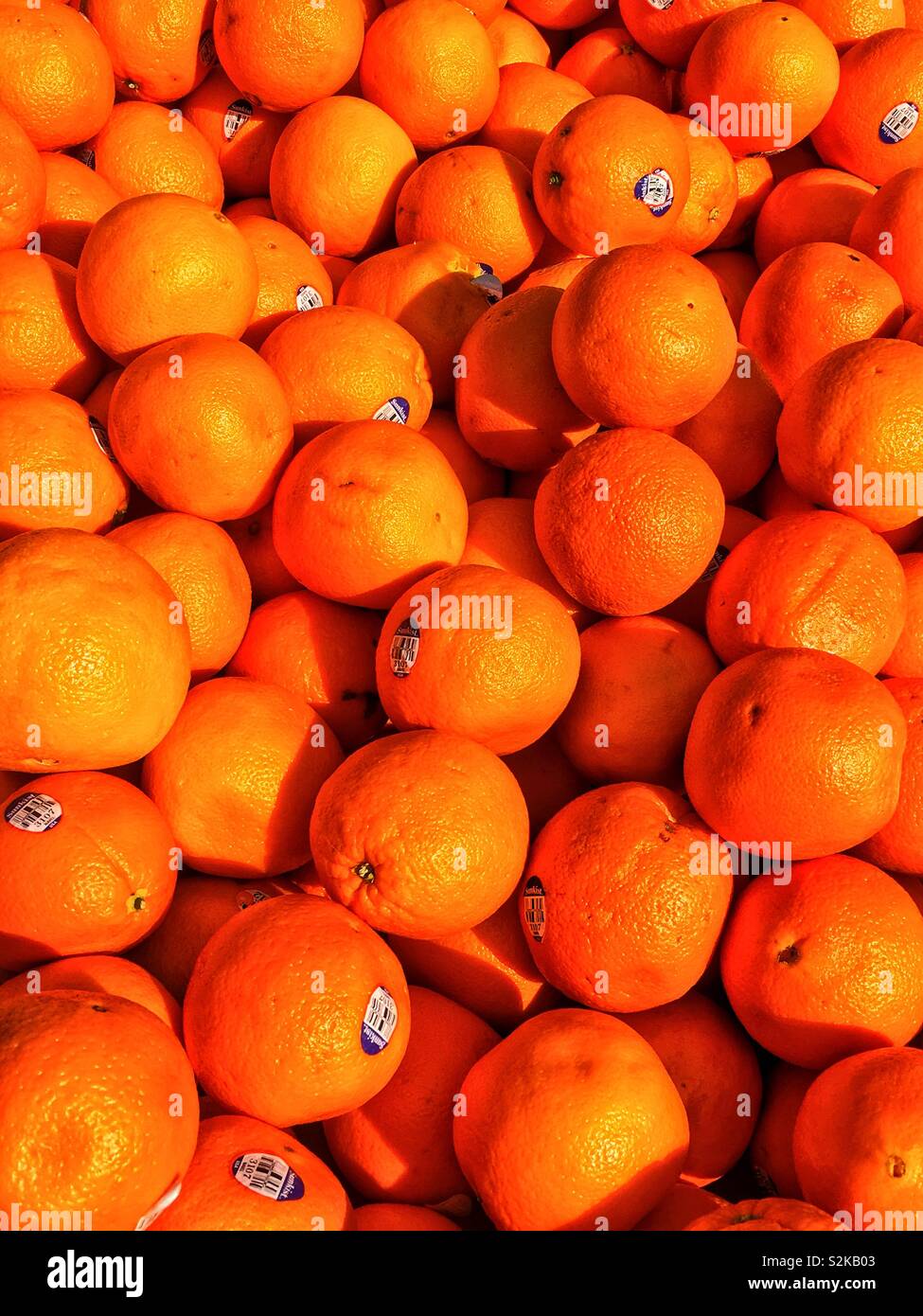 Perfekt reife frisch Navel Orangen auf dem Display und zum Verkauf an die lokale Anbieter produzieren. Stockfoto