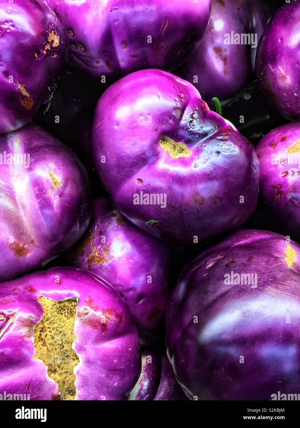 Full Frame von vielen Bauernhof frische reife deep purple Sizilianische Auberginen auf dem Display und zum Verkauf an die lokale Anbieter produzieren. Stockfoto
