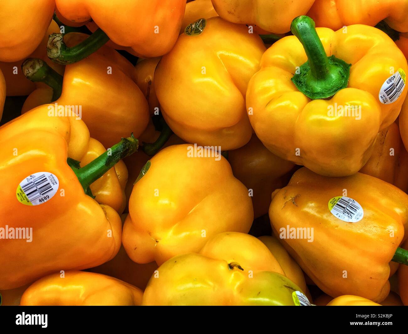 Full Frame von vielen Bauernhof frische reife gelbe Paprika auf dem Display und zum Verkauf an die lokale Anbieter produzieren. Stockfoto