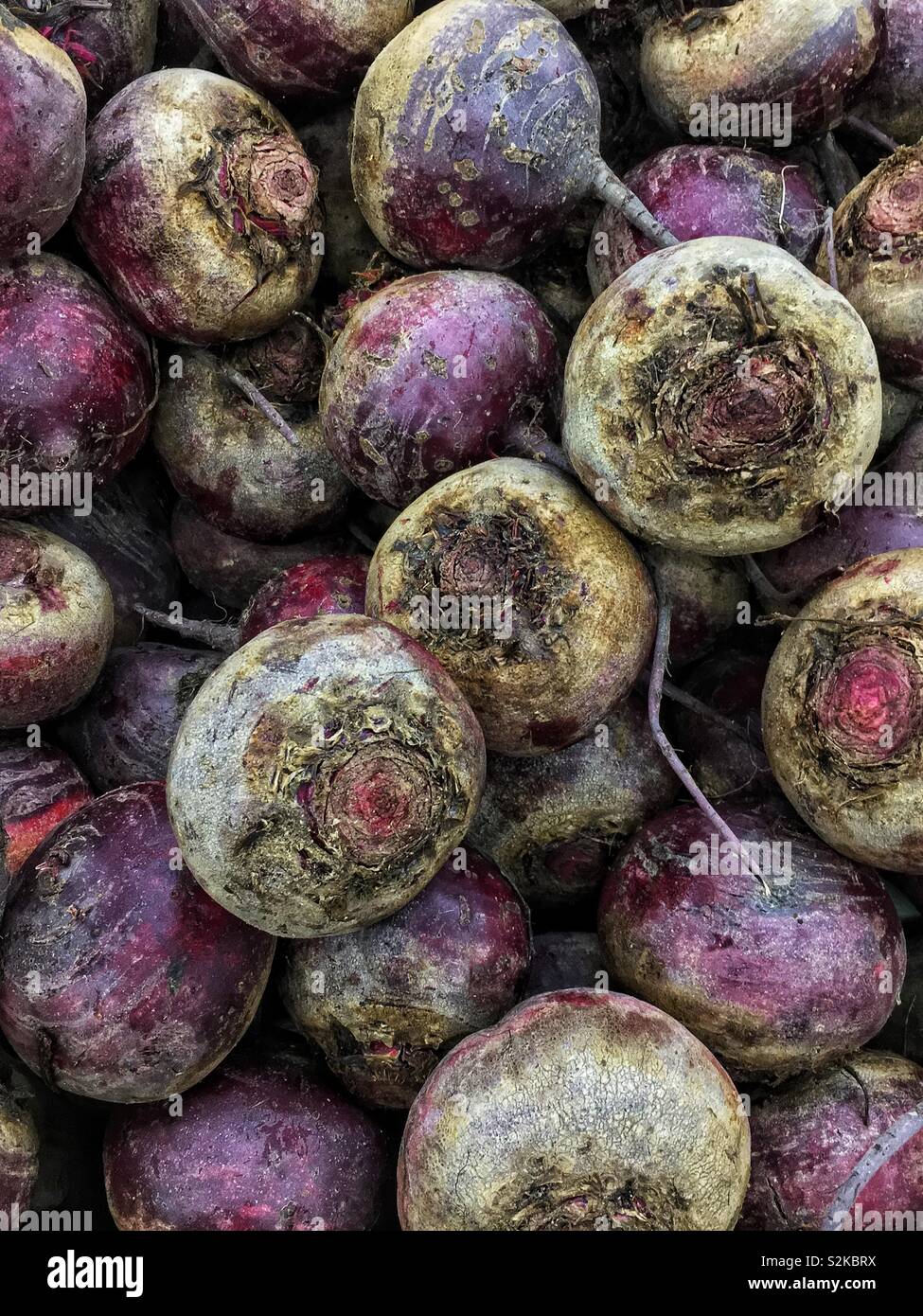 Full Frame von frische und köstliche reife rote Rüben auf dem Display und zum Verkauf an die lokale Anbieter produzieren. Stockfoto