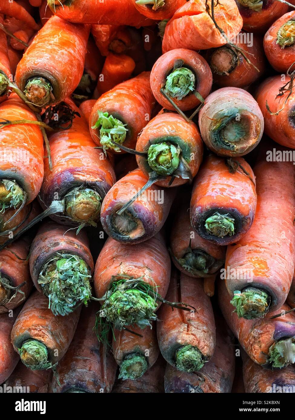 Full Frame der Bauernhof frische Karotten auf dem Display und zum Verkauf an die lokale Anbieter produzieren gestapelt. Stockfoto