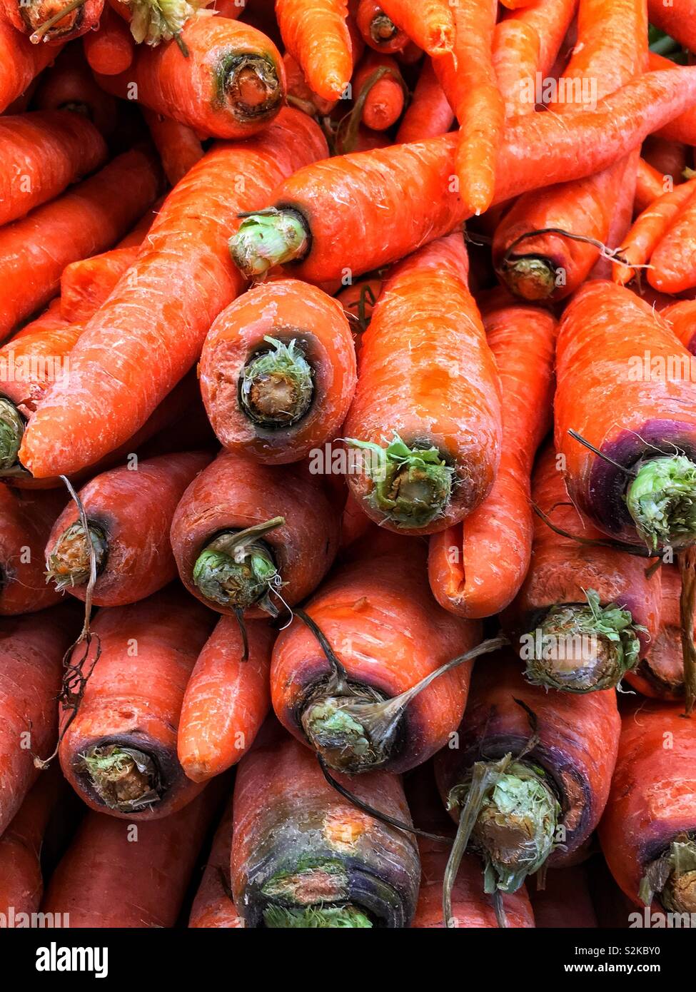 Full Frame der viele frische Karotten in einem Fach auf der Anzeige und zum Verkauf an die lokale Anbieter produzieren angehäuft. Stockfoto