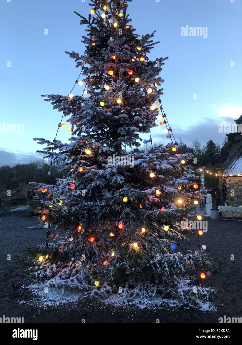 Weihnachtsbaum bei Beamish Museum Stockfoto