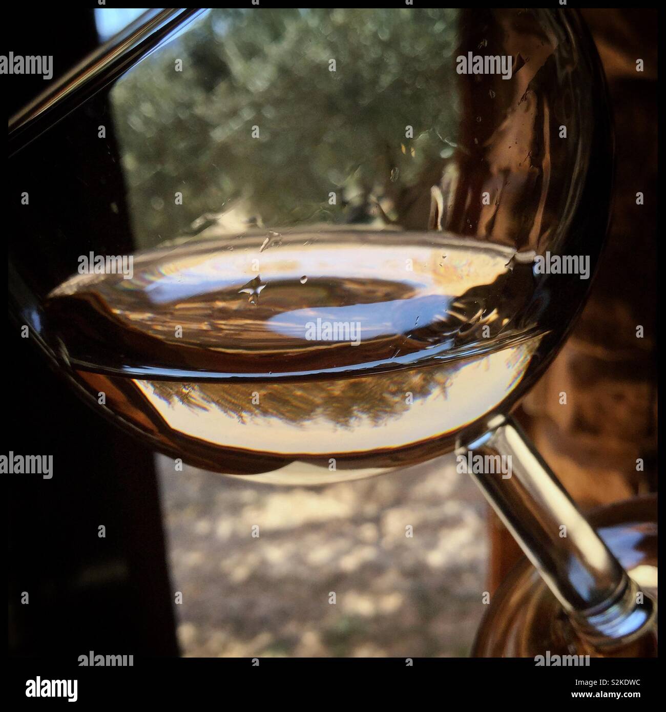 Sampling ein Glas Grenache rosé in der Weinkellerei, Katalonien, Spanien. Stockfoto