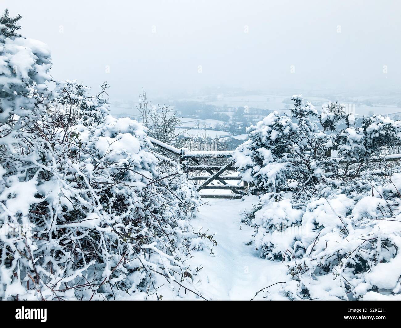 April Schnee in Shropshire Stockfoto