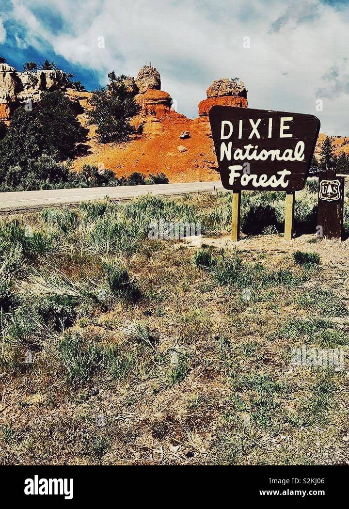 Dixie National Forest Stockfoto