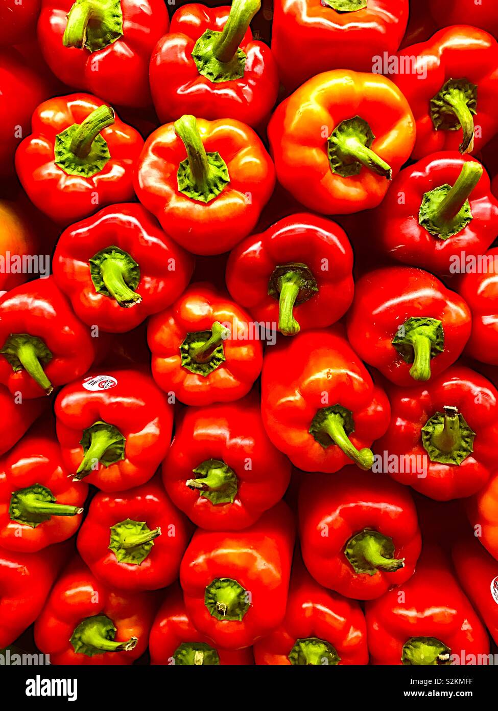 Gruppe von reife, rote Paprika Stockfoto