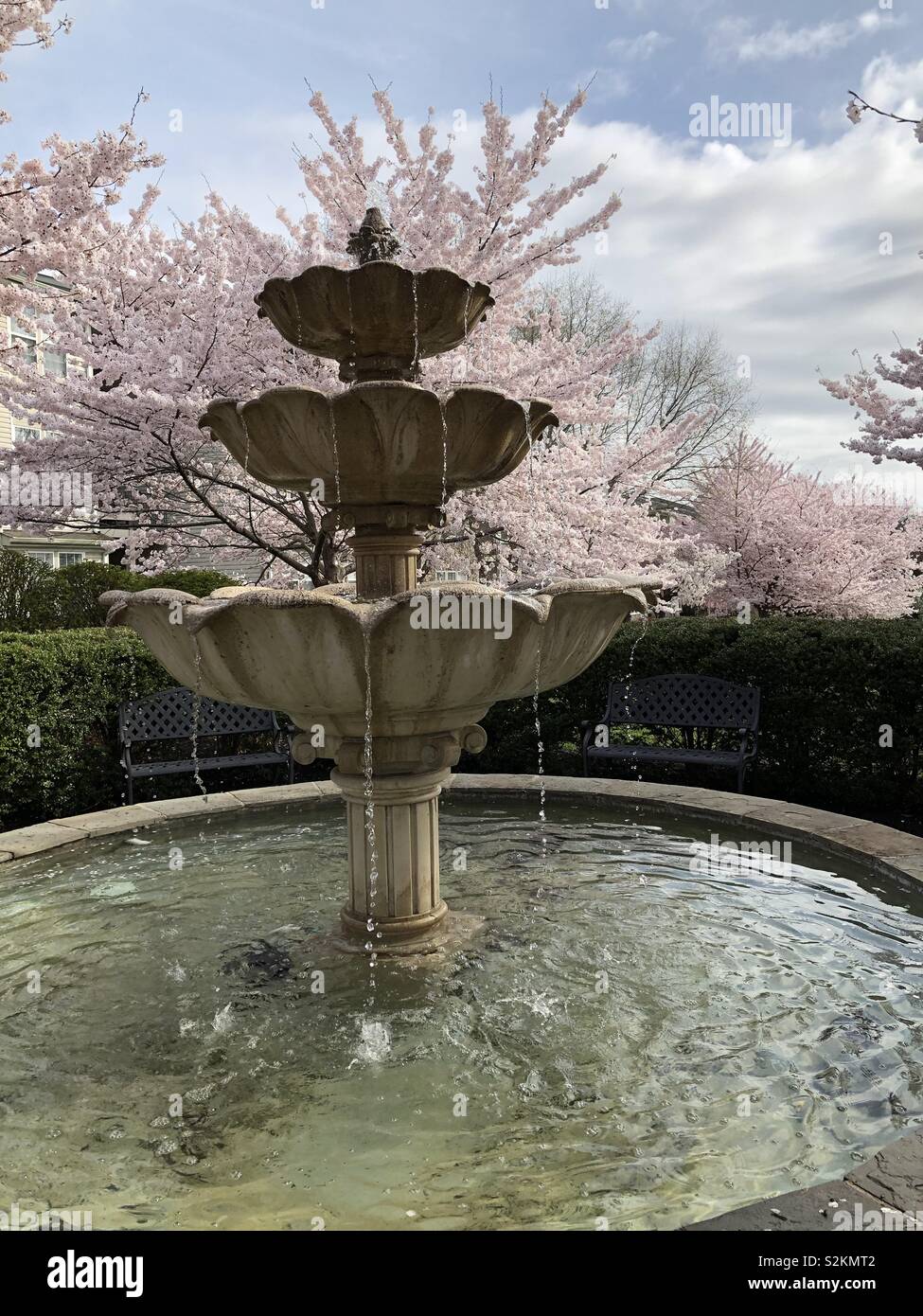 Wasser-Brunnen - Smartphone-aufgenommenes Stockfoto
