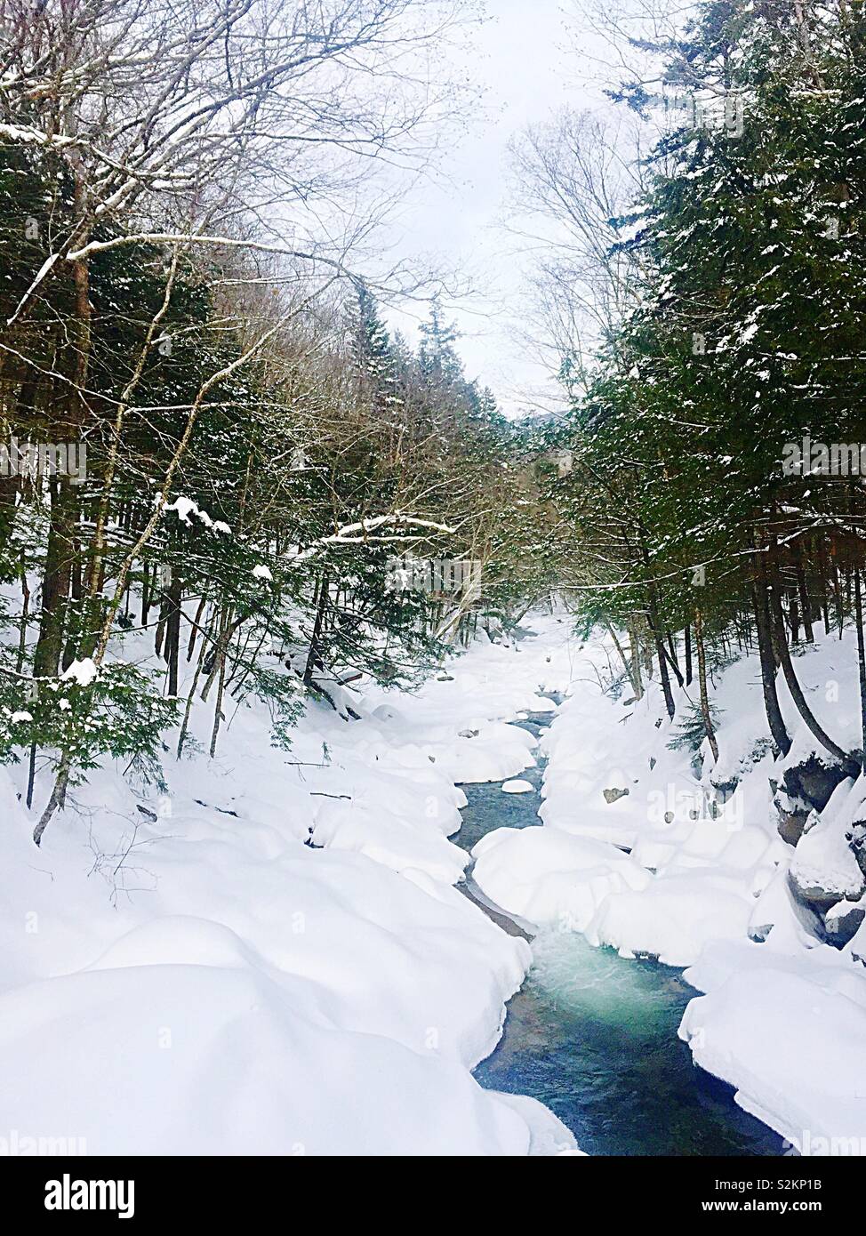 Verschneite Winterlandschaft, pemigewasset River durch die White Mountain National Forest, New Hampshire Stockfoto