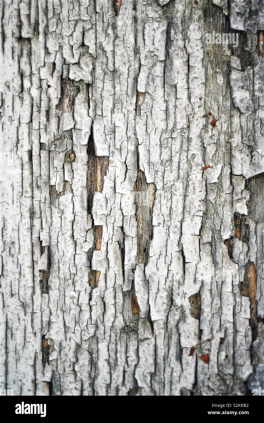 Altes Holz, Holz- Textur Hintergrund - Smartphone-aufgenommenes Stockfoto