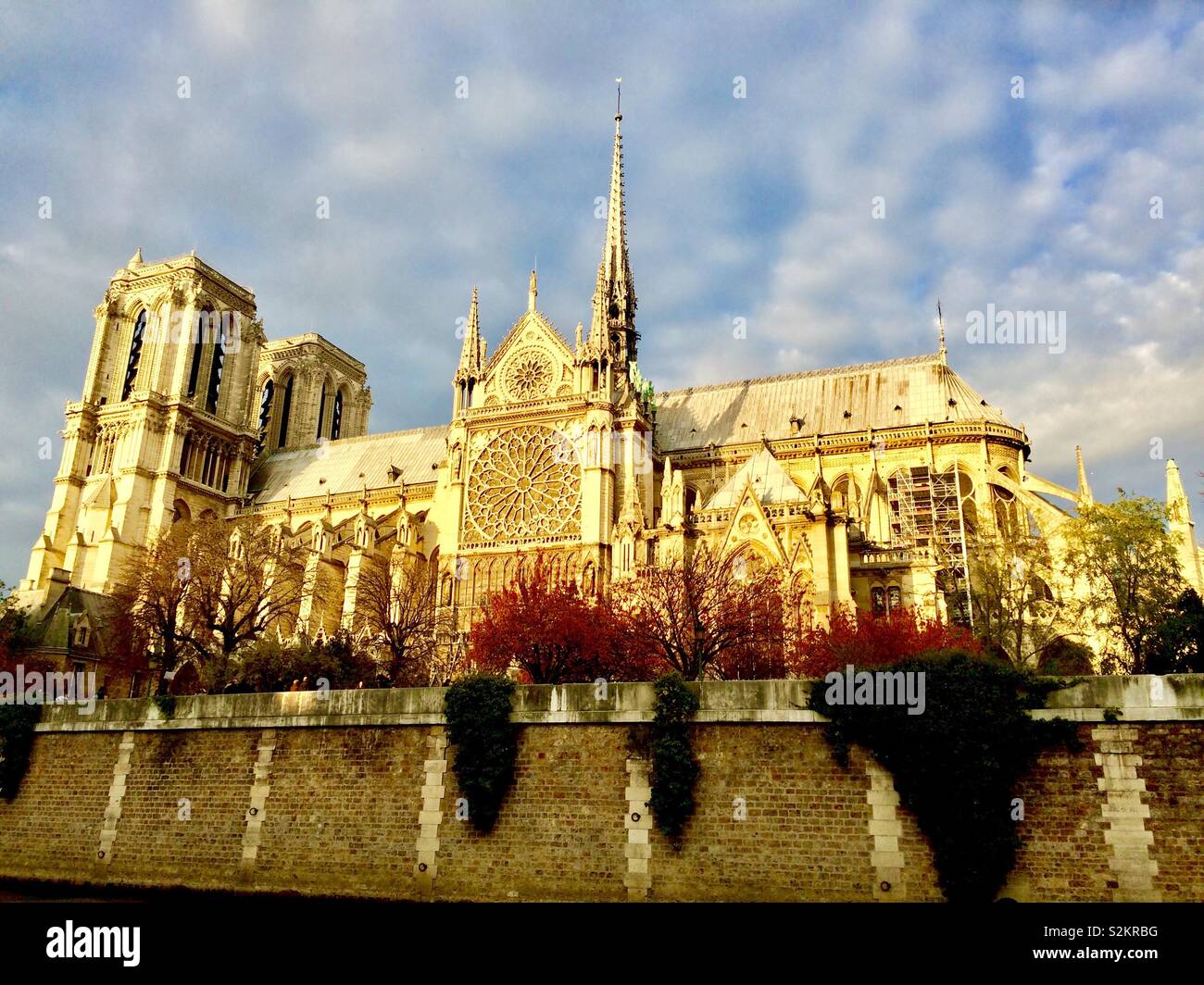 Notre Dame 2015 Stockfoto