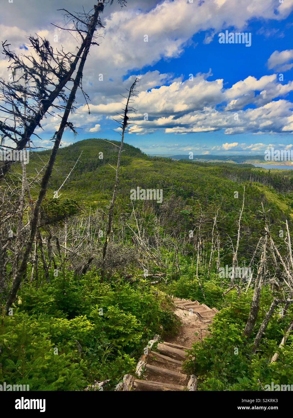 Skerwink Trail in Neufundland Kanada - Smartphone-aufgenommenes Stockfoto