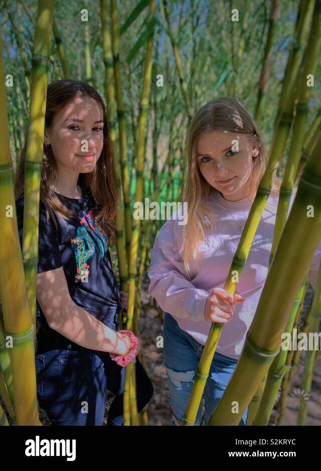 Zwei Mädchen von einem Bambus Pflanze Stockfoto