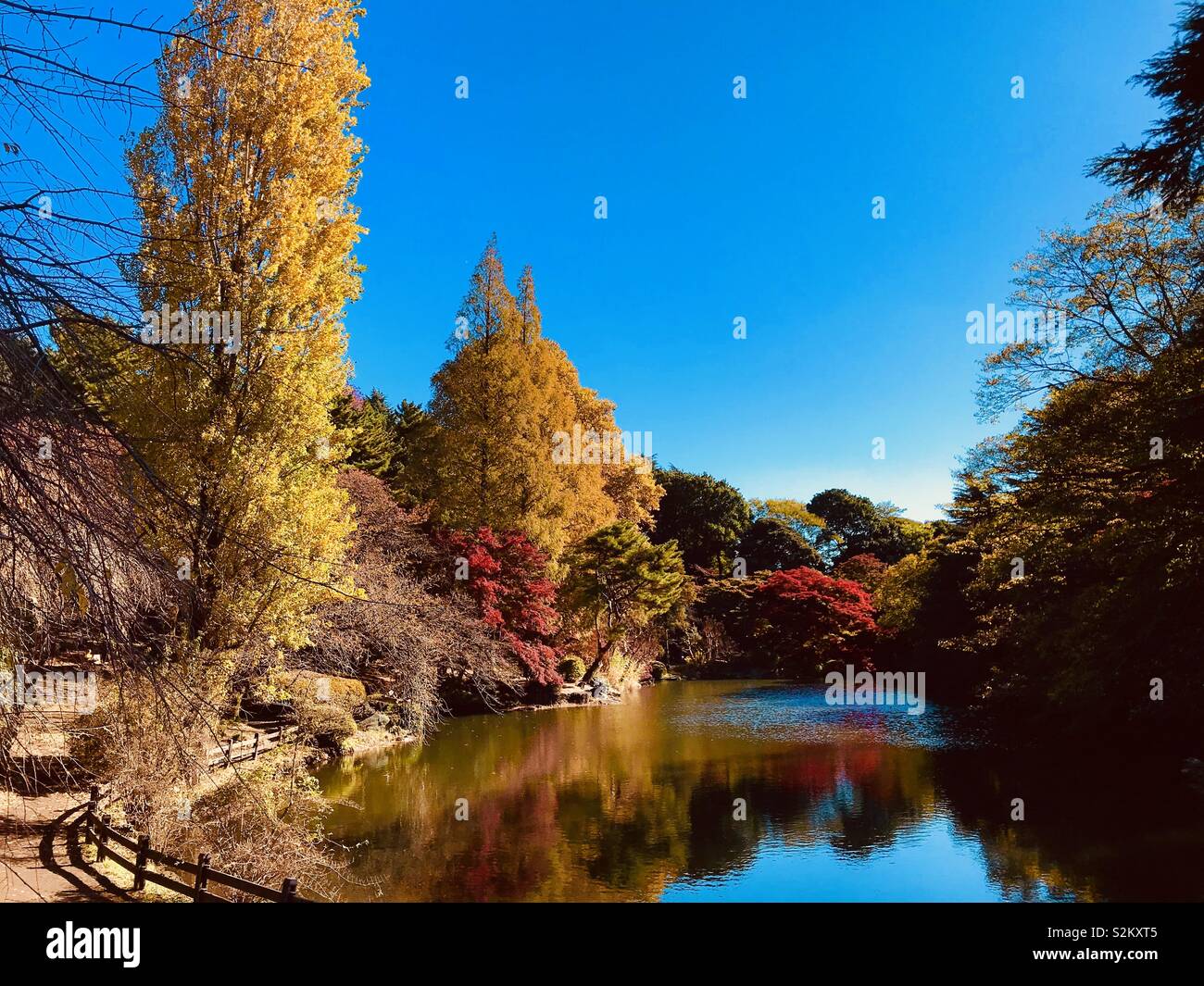 Tokyo Garden Stockfoto