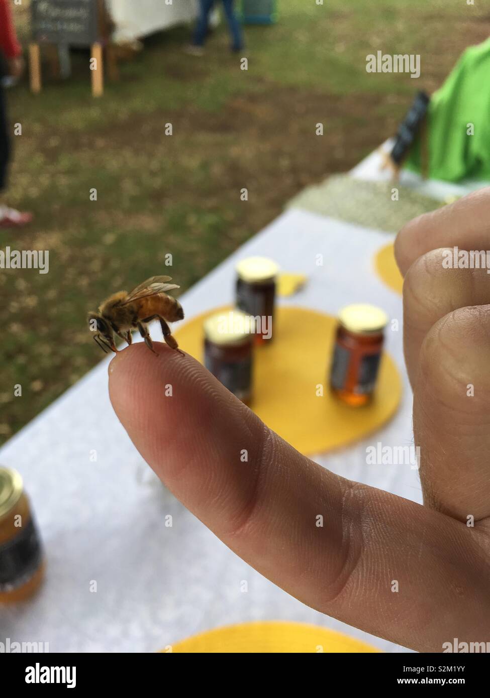 Neuseeland Bienen Stockfoto