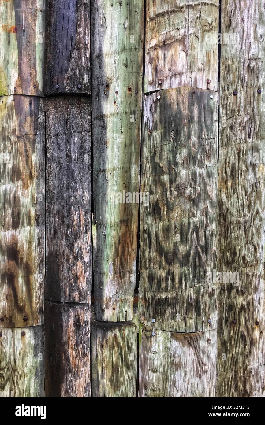 Authentischen Wand aus Baumstamm Holz Bretter zusammen genagelt. Stockfoto