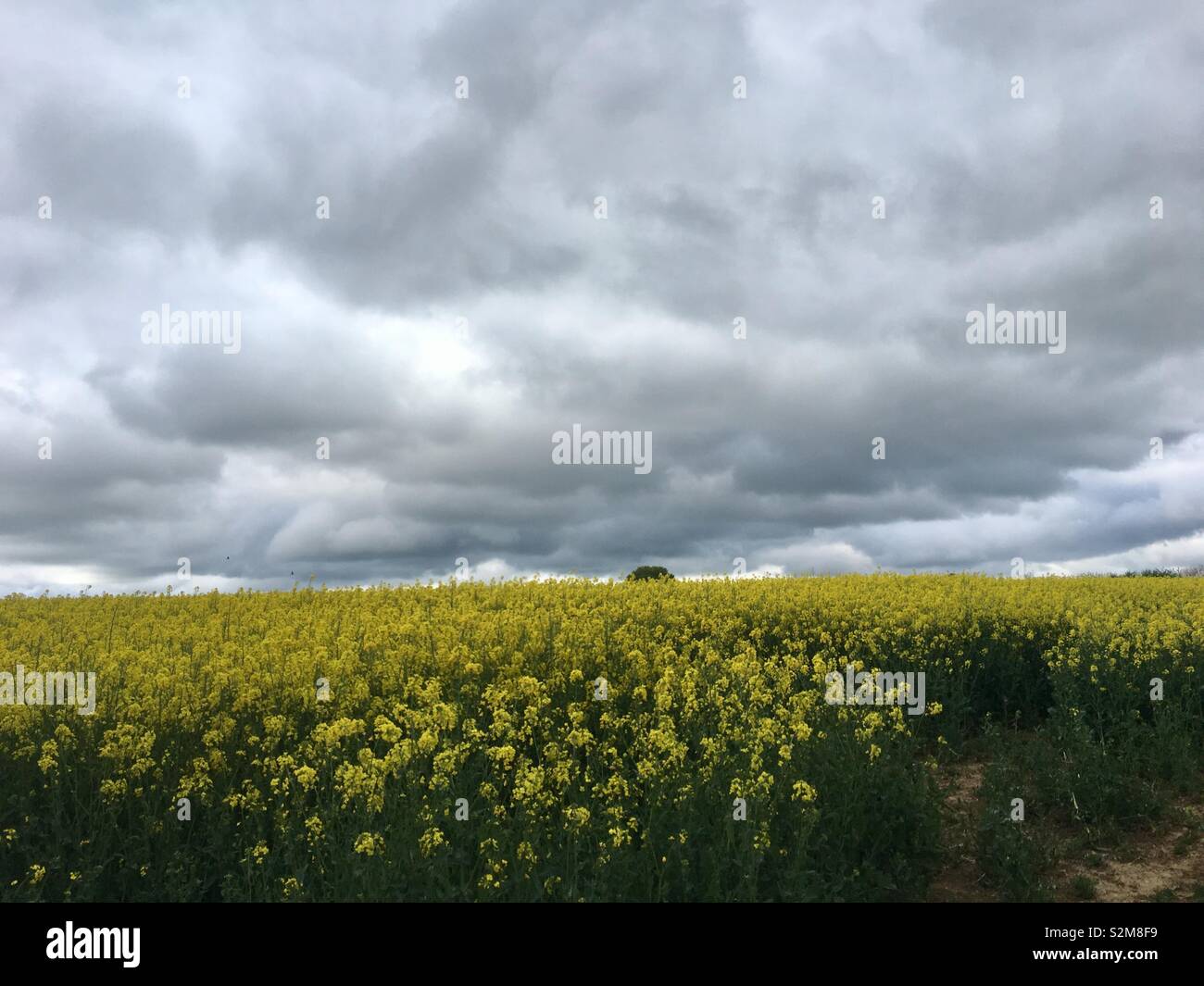 Stürmische Himmel Stockfoto