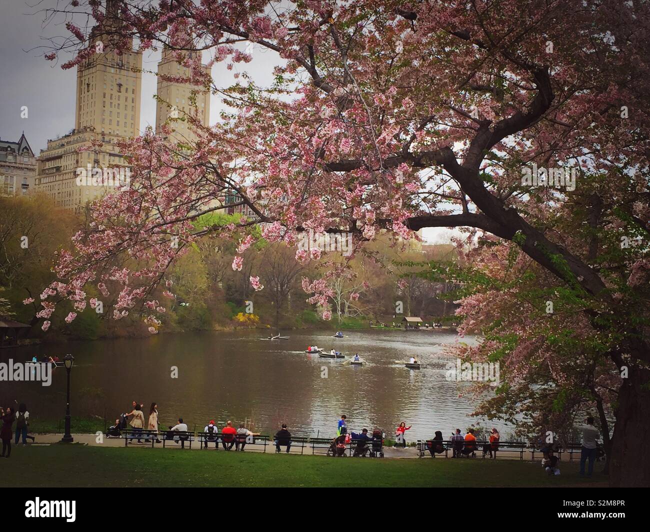 Touristen und New Yorker genießen einen schönen Frühling am See im Central Park, New York City, USA - Smartphone-aufgenommenes Stockfoto