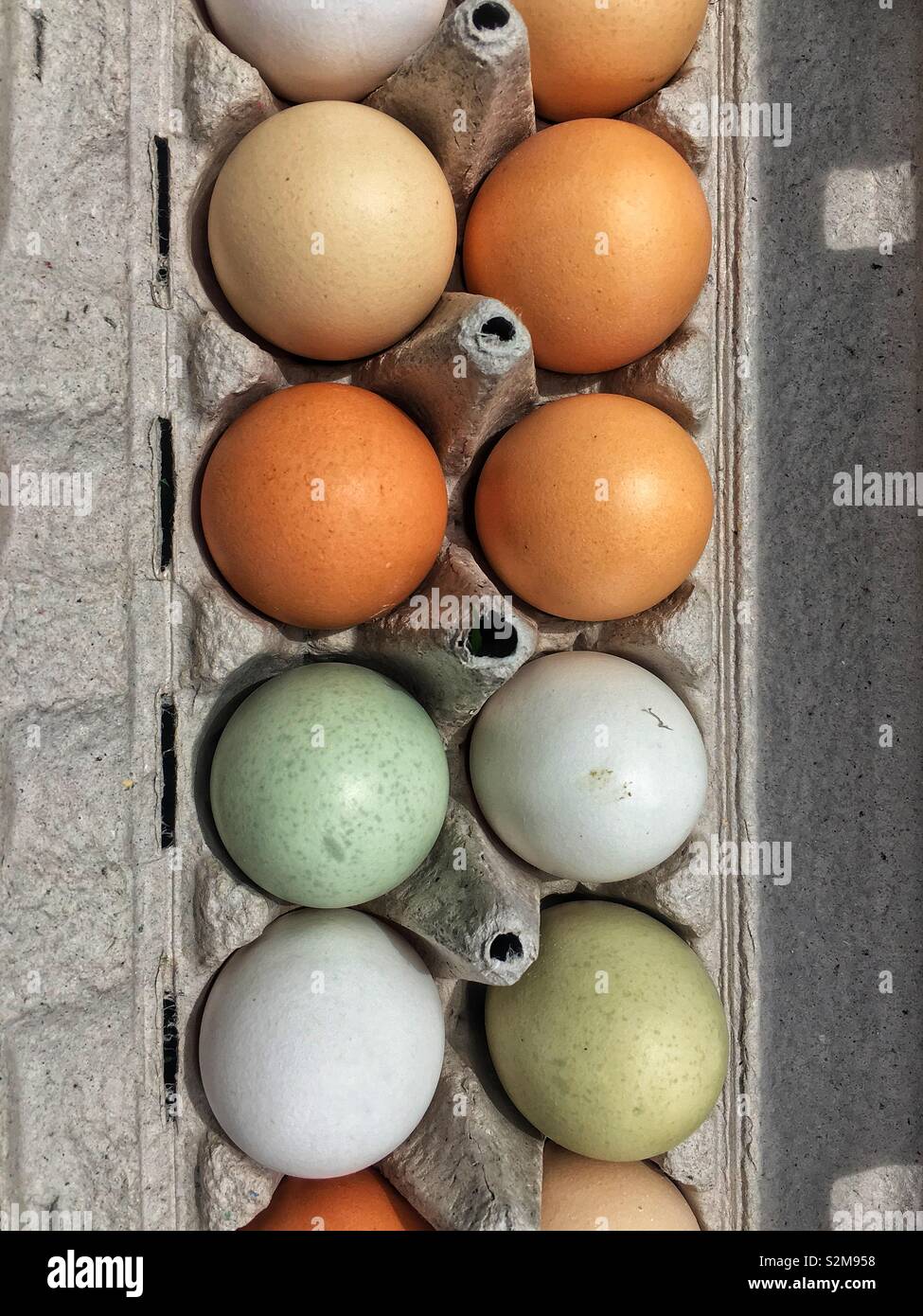 Bunte Vielfalt der Bauernhof frische Eier heute Morgen geerntet, geputzt, gewogen und für Verkauf verpackt. Stockfoto