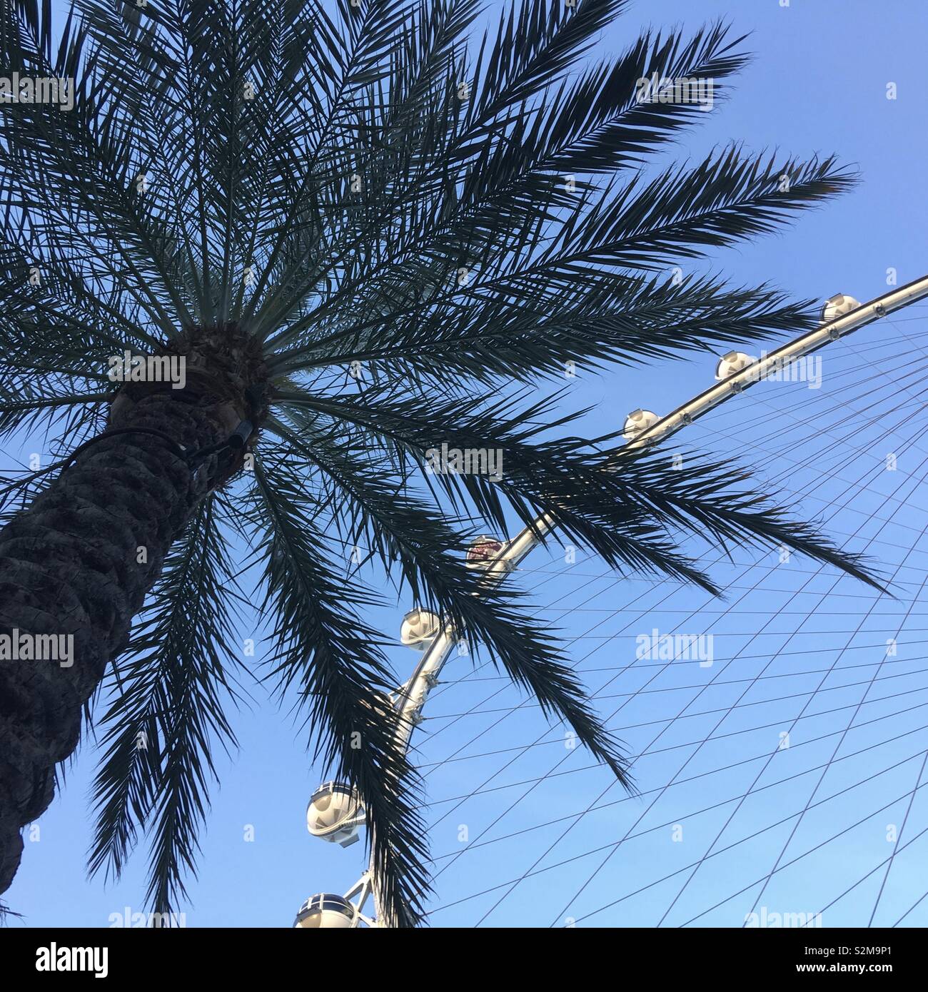 LAS VEGAS, Nevada, USA, April 2019: Die Suche nach der Vergangenheit Palm Tree at High Roller Big Wheel an der Rückseite des Kasinos auf dem Strip. Platz Zusammensetzung Stockfoto
