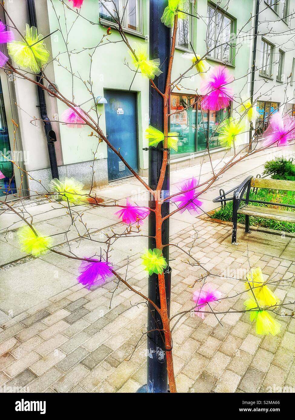 Buntes Osterfest künstliche Federn, eine Birke Zweig, Stockholm, Schweden, Skandinavien. Alten schwedischen Ostern Tradition, Schneiden und dekorieren Birke Niederlassungen stammt aus dem 17. Jahrhundert Stockfoto