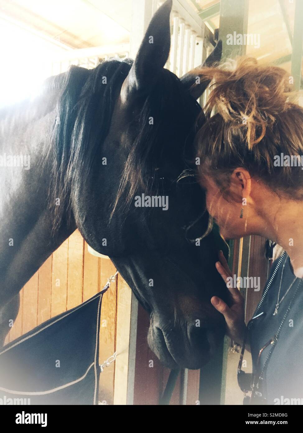 Junge Frau mit ihrem Pferd Stockfoto