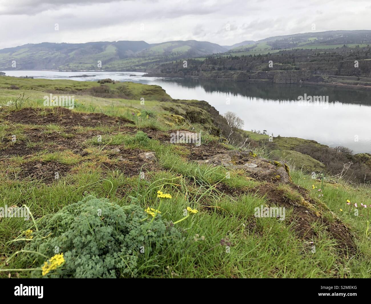 Columbia River bei Tom McCall bewahren, Oregon Stockfoto