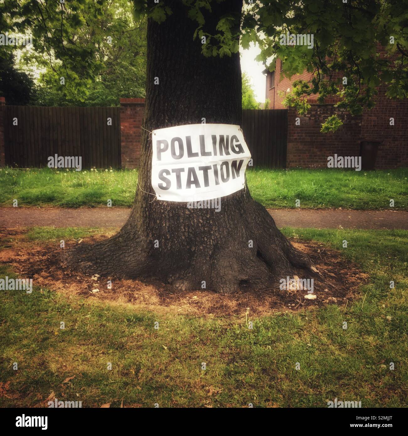 Wahllokal Banner auf Baum Stockfoto