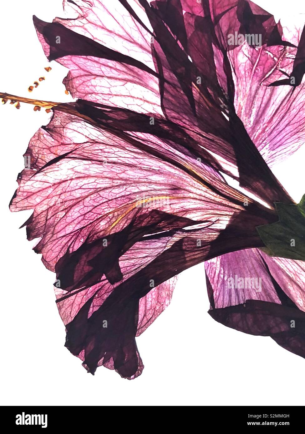 Speicher aus Mexiko Ferien - Smartphone-aufgenommenes Stockfoto