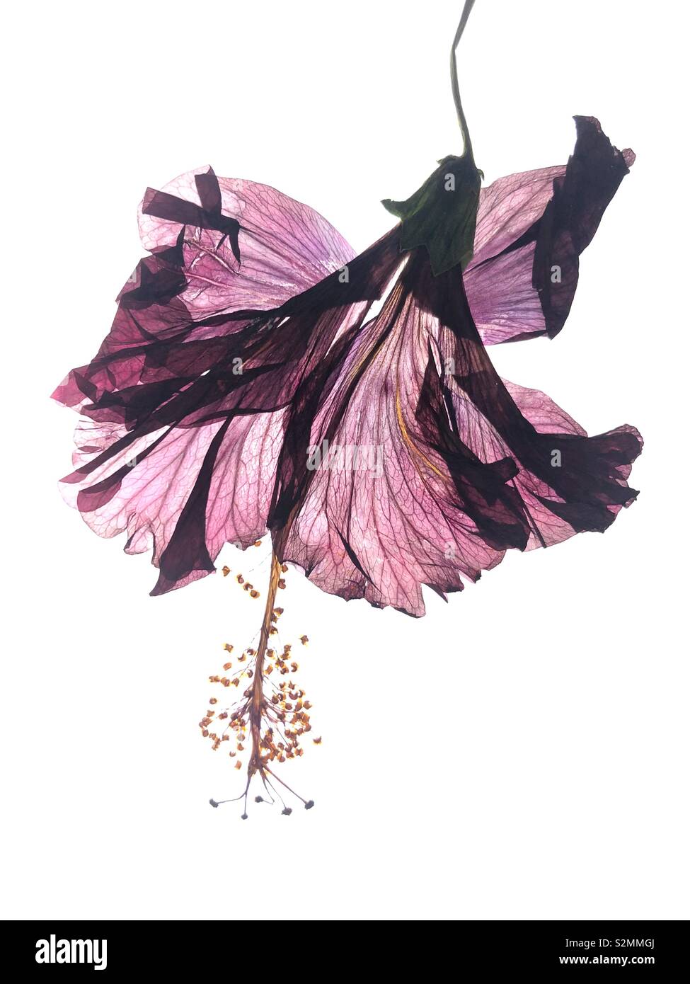 Speicher aus Mexiko Ferien - Smartphone-aufgenommenes Stockfoto