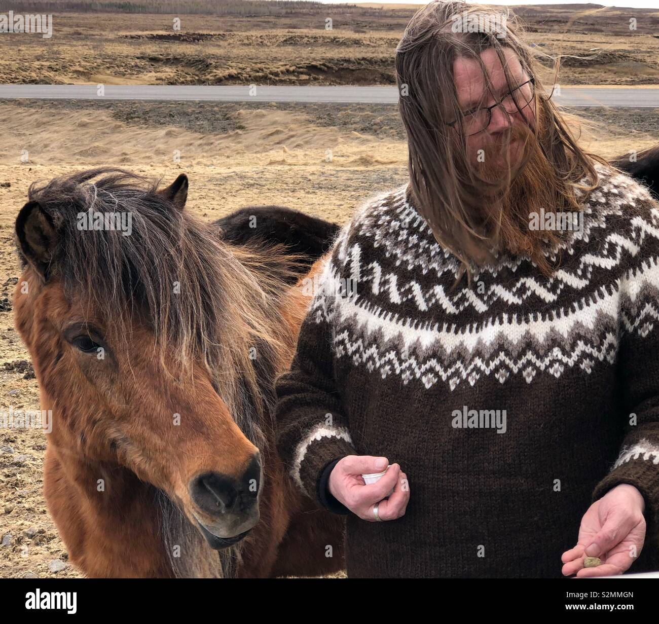 Islandpferd und Reiseleiter in traditionellen Strickpullover in Island Stockfoto