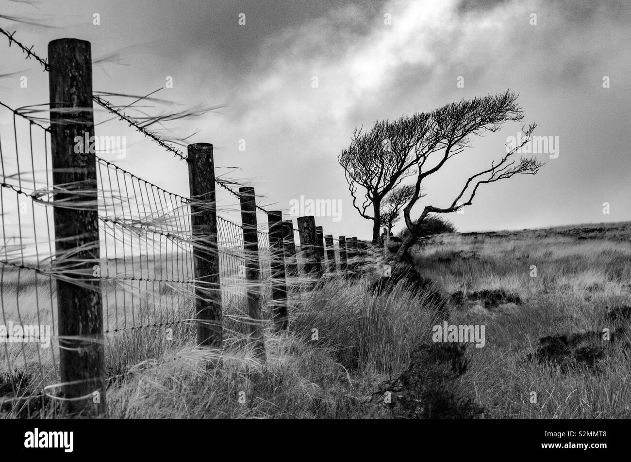 Windige Dartmoor Stockfoto