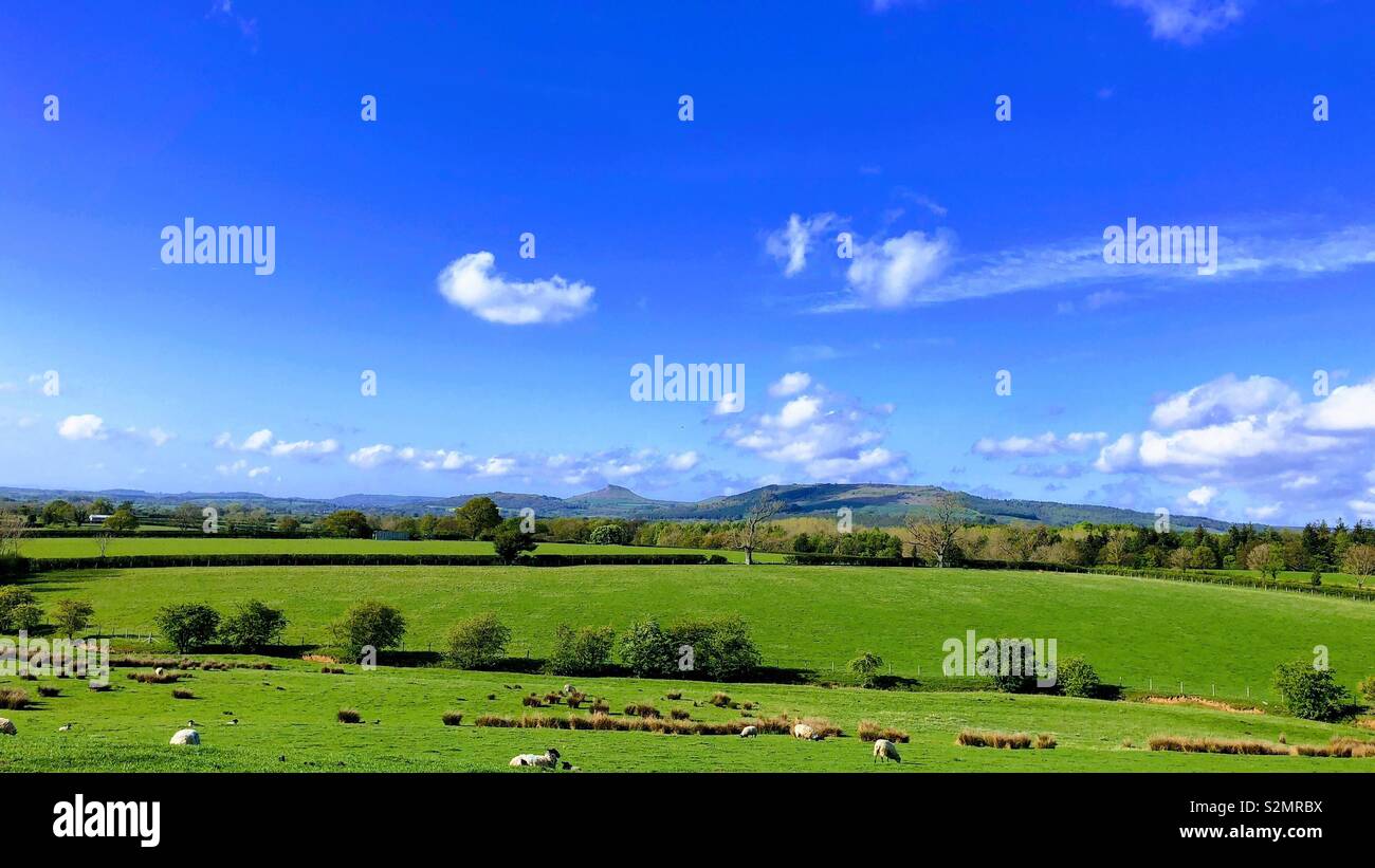 Landschaft in der Nähe von roseberry Topping, North Yorkshire, England, Großbritannien - Smartphone-aufgenommenes Stockfoto