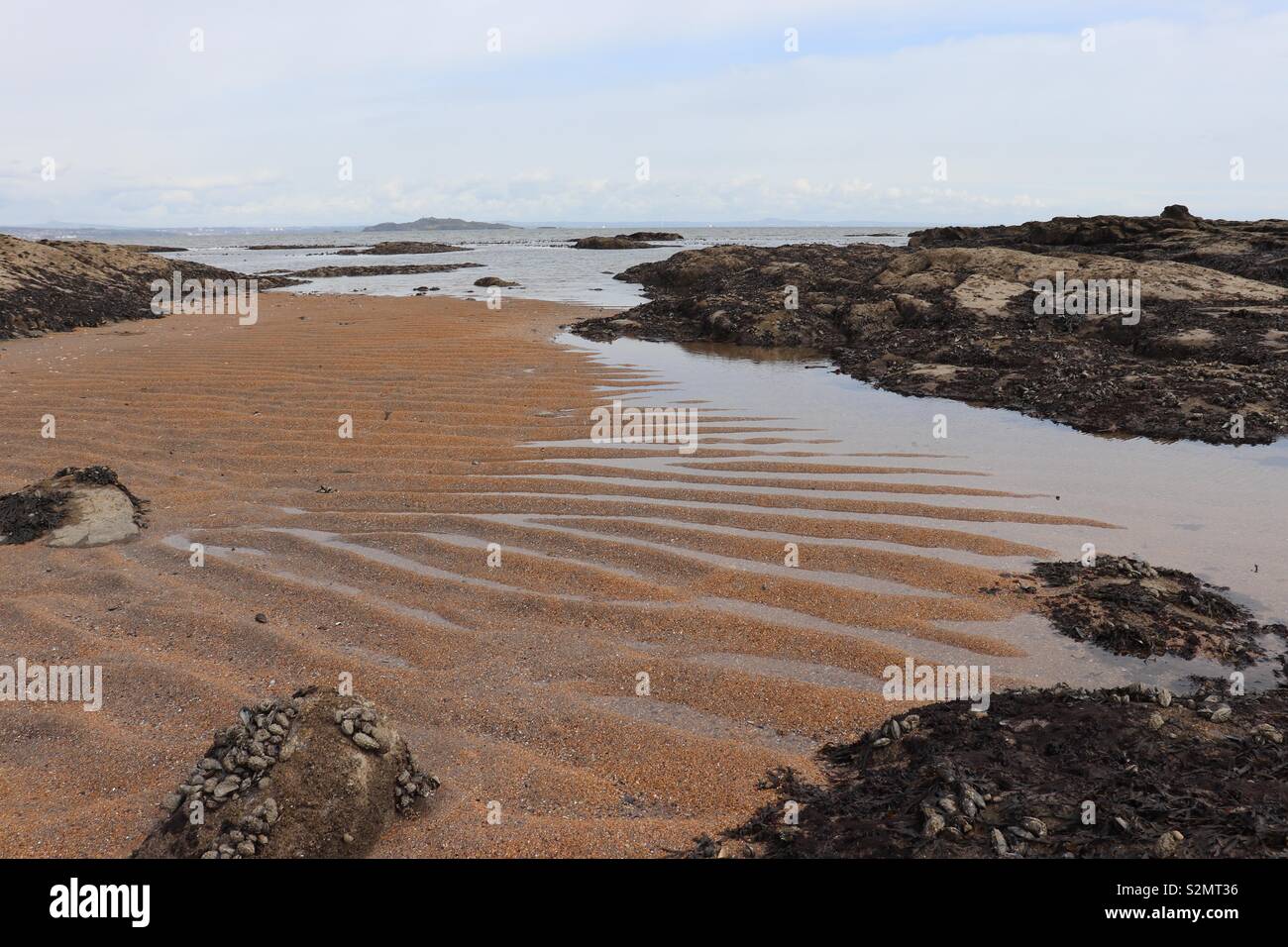 Texturierte sand in Gezeiten rock Pool Stockfoto