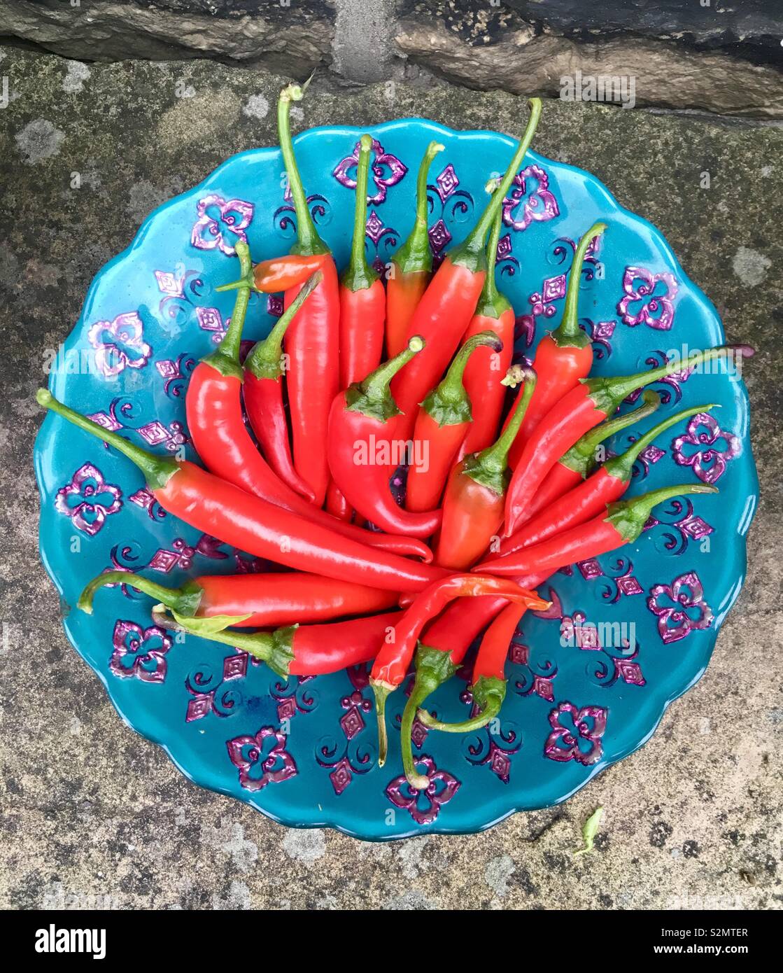 Chili peppers in Blau. Stockfoto