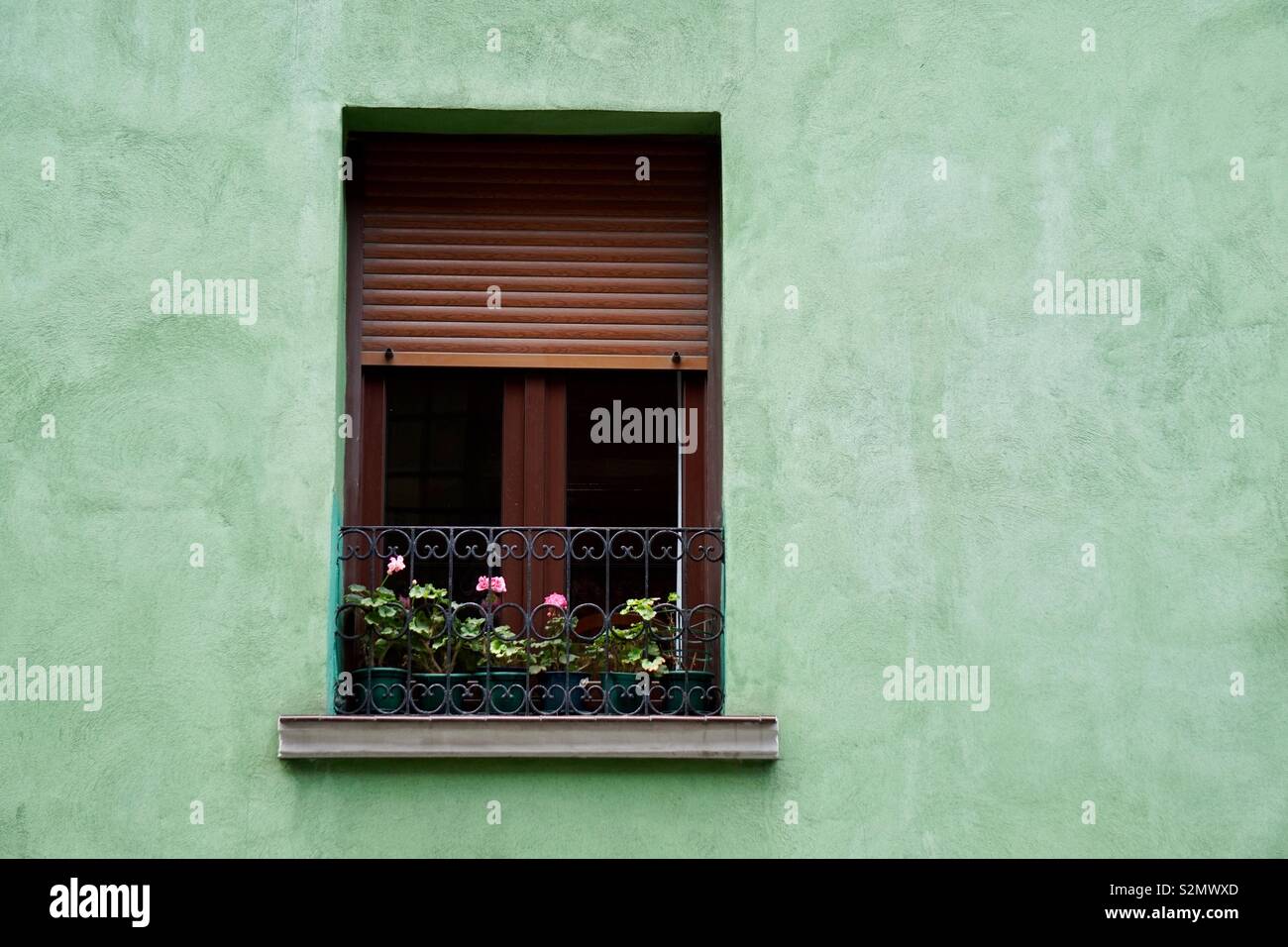 Fenster auf der grünen Fassade Stockfoto