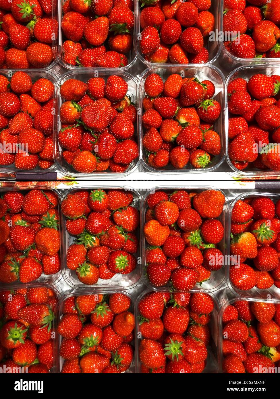 Erdbeeren in einem Lebensmittelgeschäft Stockfoto