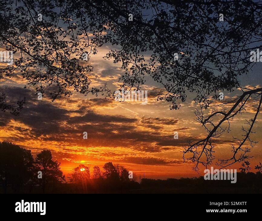 Sunrise umrahmt von Bäumen von Crow, A. Stockfoto