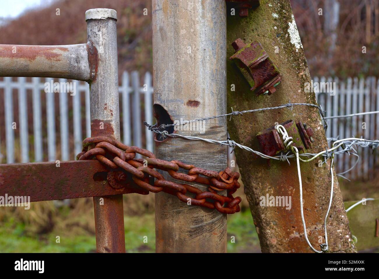 Bild einem Ackerland Metal Gate und hölzernen Pfosten besicherte mit Stacheldraht und rostige Kette angezeigt Stockfoto