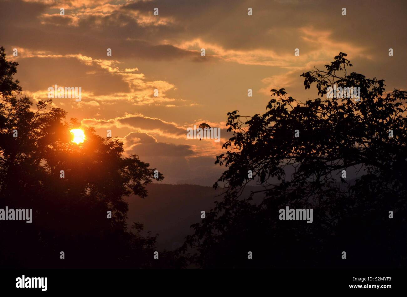 Sonnenuntergang, Wörthersee, Kärnten, Österreich Stockfoto