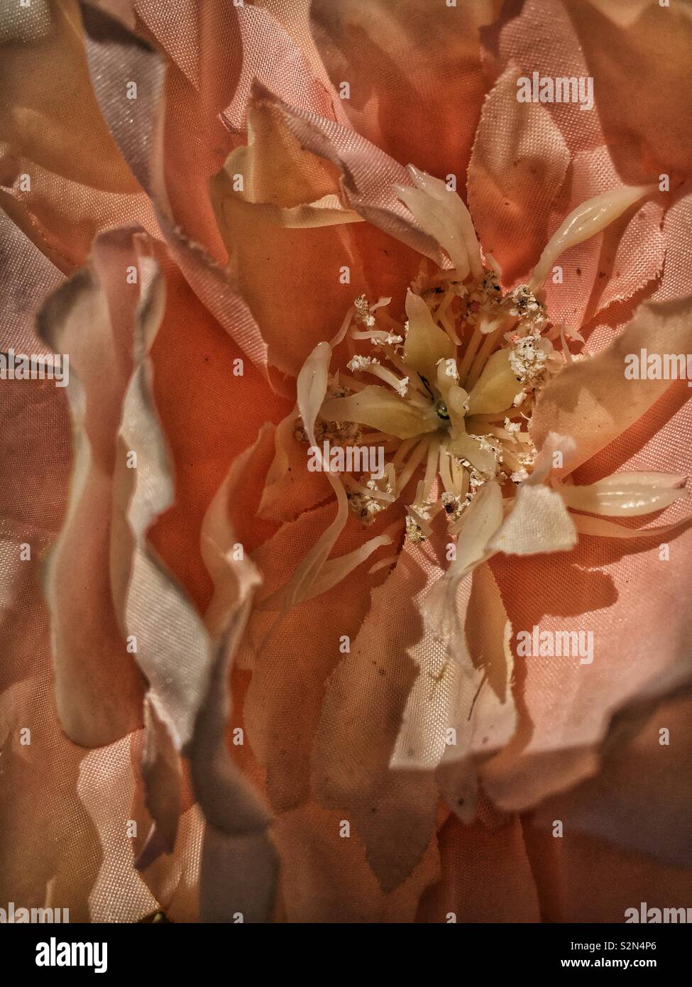 Full Frame einer orange Kunststoff Blume in voller Blüte. Stockfoto