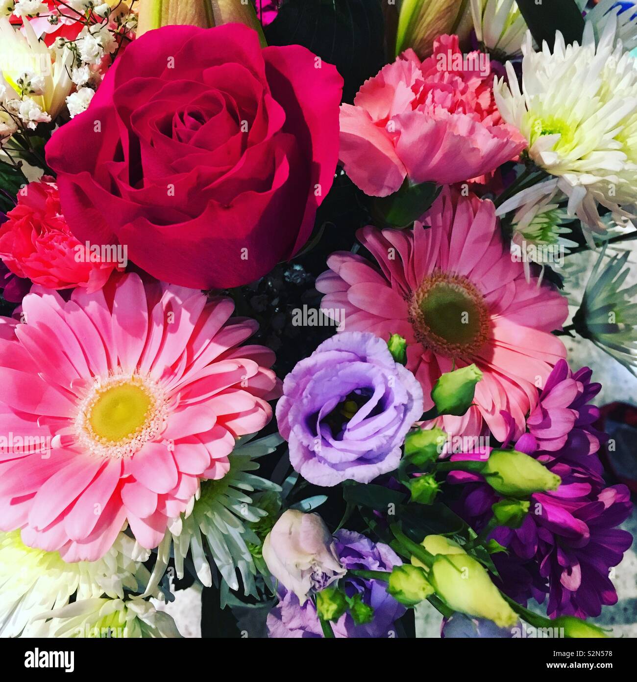 Herzlichen Glückwunsch zum Geburtstag Blumen Stockfoto