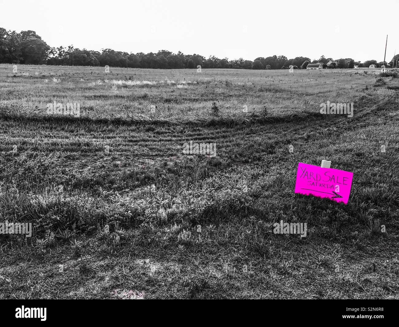 Magenta Farbe pop Foto von Hof Verkauf Zeichen im Feld "Land" Stockfoto