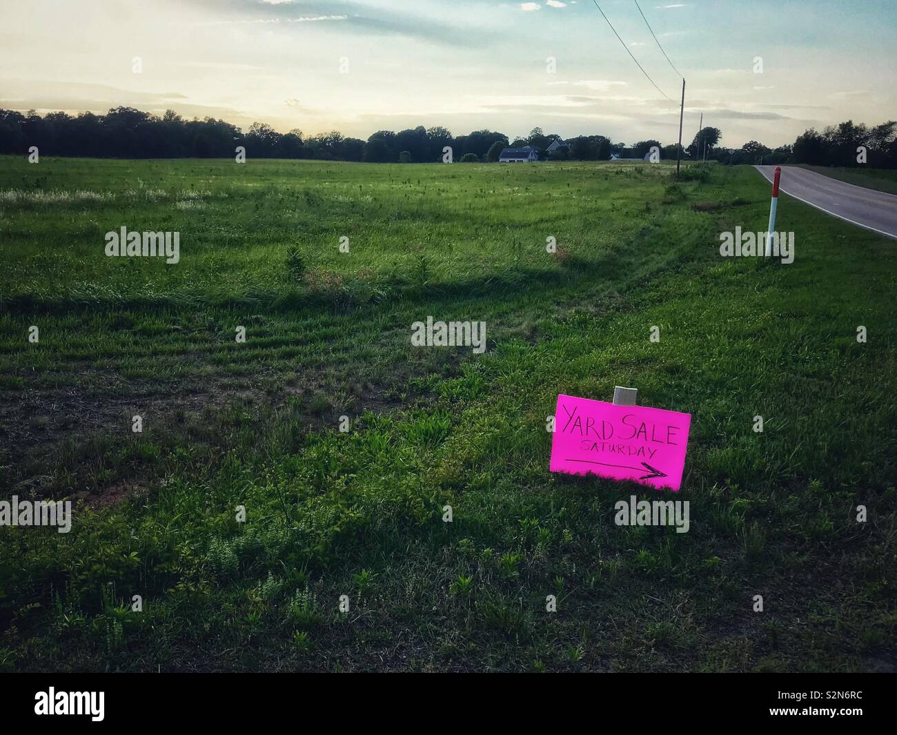 Hell Magenta Yard Sale Anmelden einfarbig Grün Land Feld Stockfoto