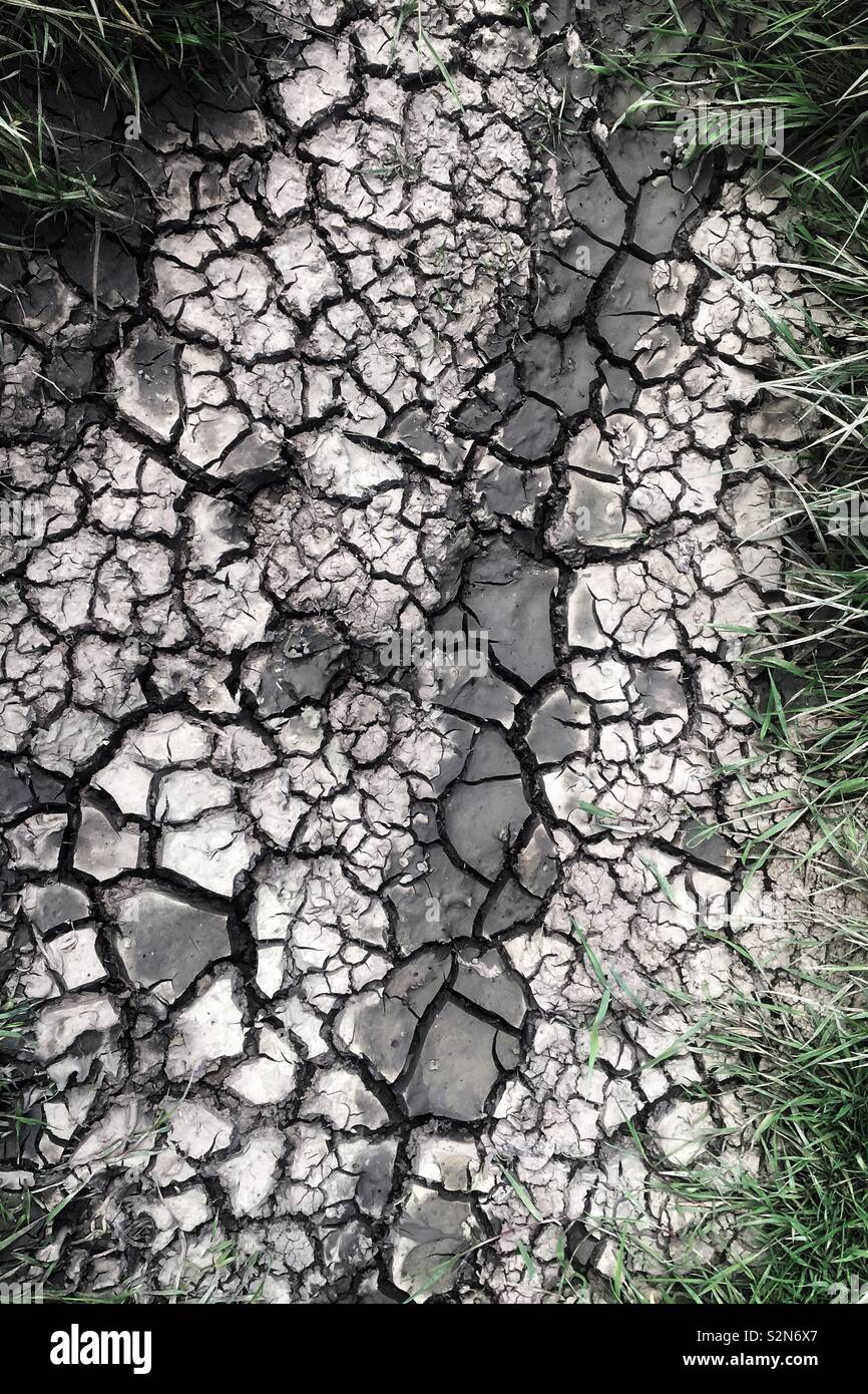 Trockene rissige Boden, Markierungen in einem trockenen Pfütze - Smartphone-aufgenommenes Stockfoto