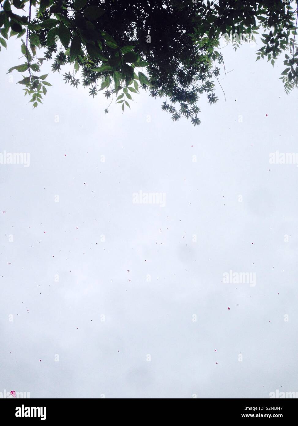 Regentag, grauen Himmel Stockfoto