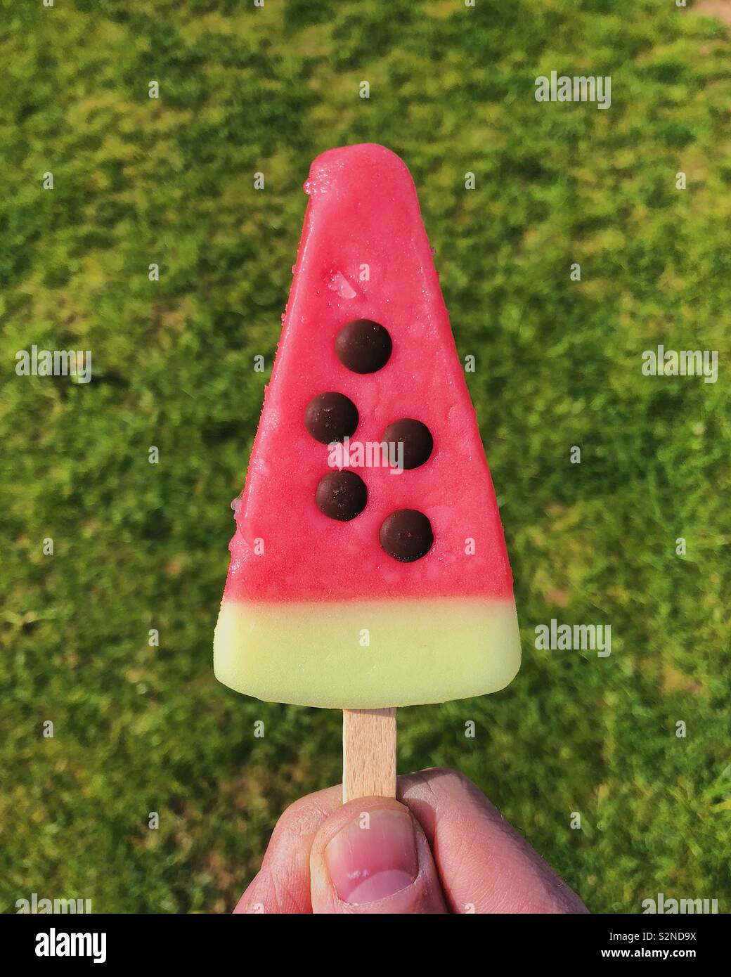 Wassermelone Eis am Stiel gegen grüne Gras. Stockfoto