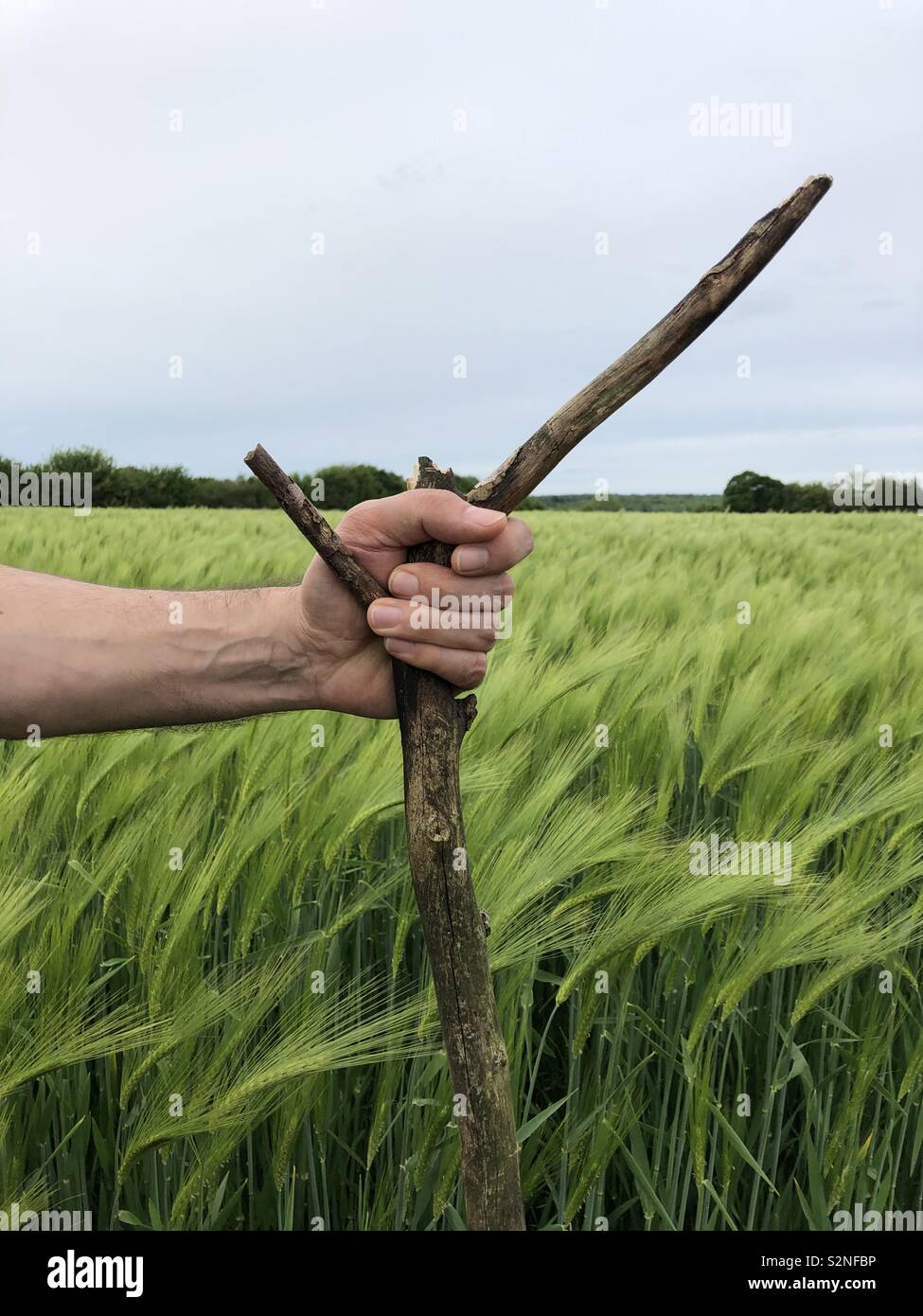 Landwirtschaft themed Bild mit der Hand eines männlichen Holding ein Brunch Stockfoto